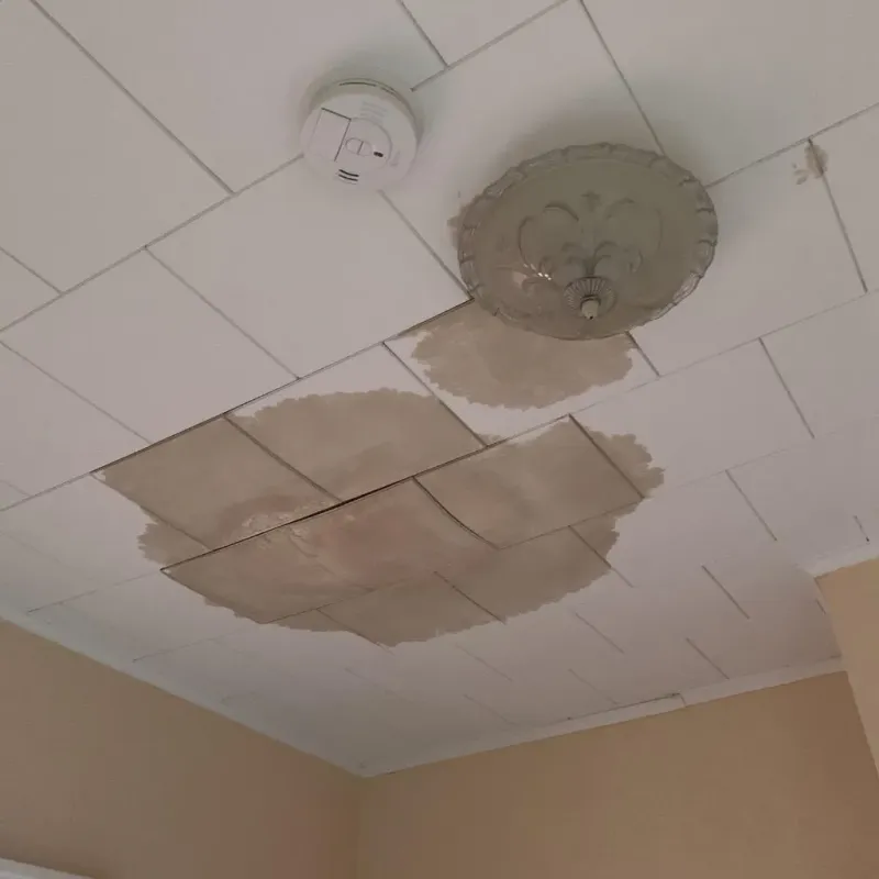 Ceiling Water Damage Repair in Snyder, OK